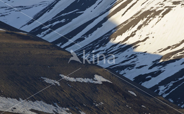 Longyearbyen