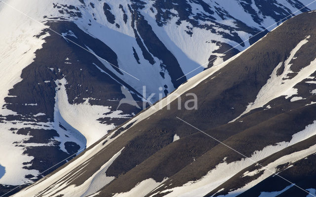 Longyearbyen