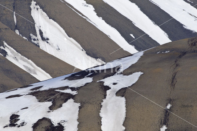 Longyearbyen