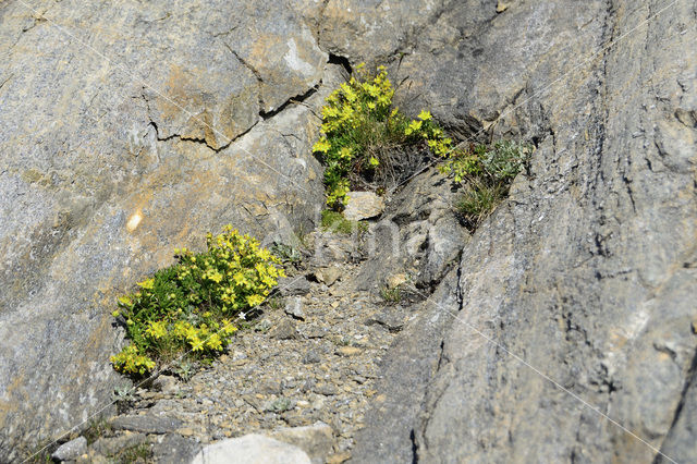 Hohe Tauern National Park