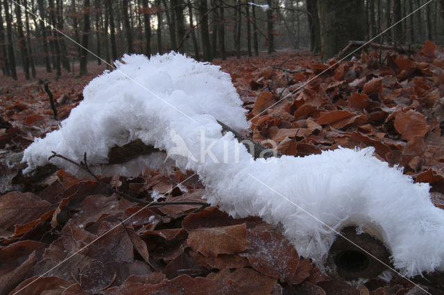 National Park Sallandse Heuvelrug