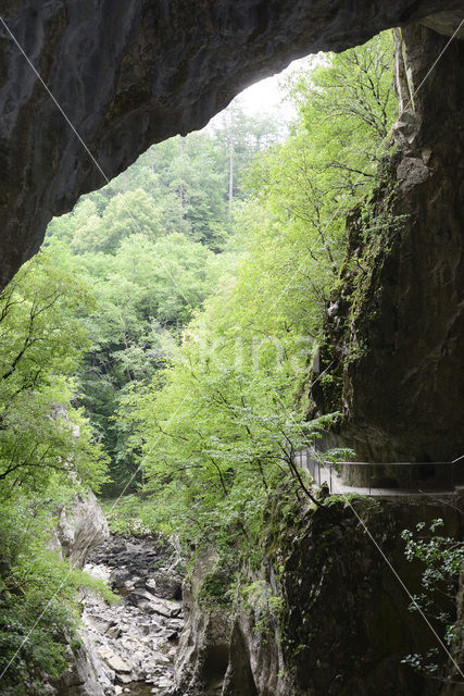 Rakov Skocjan Nature Reserve