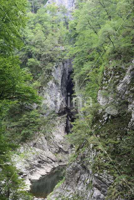 Rakov Skocjan Nature Reserve