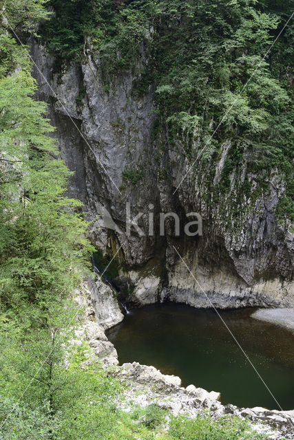 Rakov Skocjan Nature Reserve