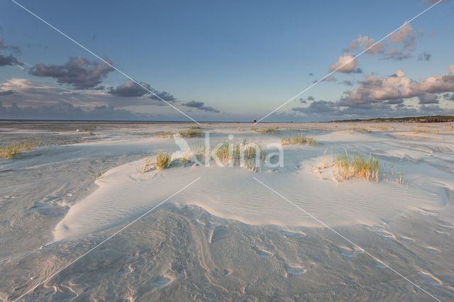 Noordzee