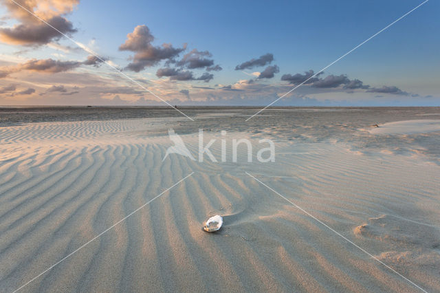 Northsea beach