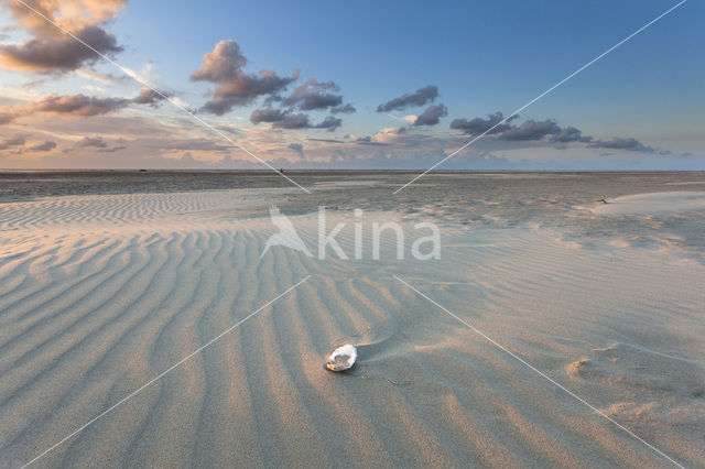 Noordzee