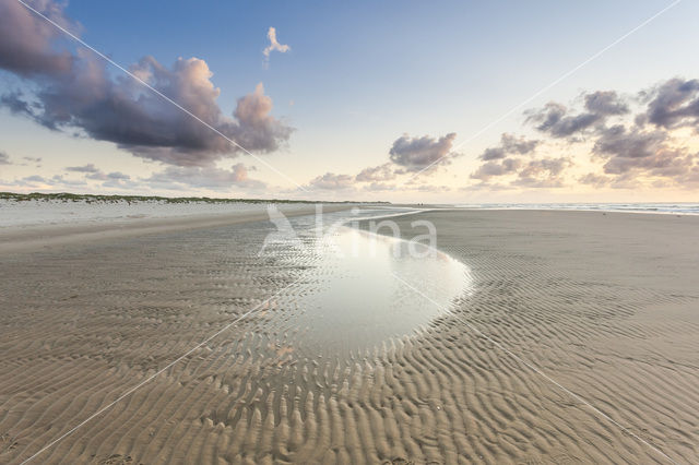 Northsea beach