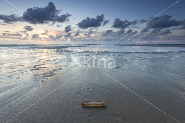 Northsea beach