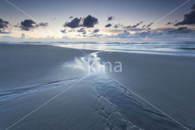 Northsea beach