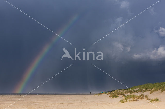 Noordzee