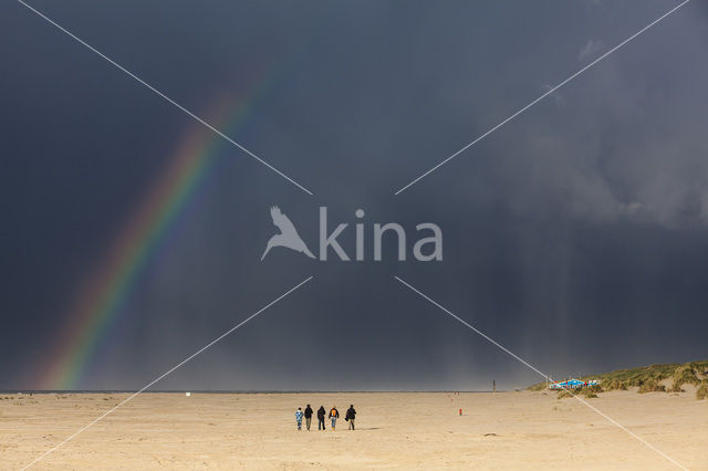 Noordzee