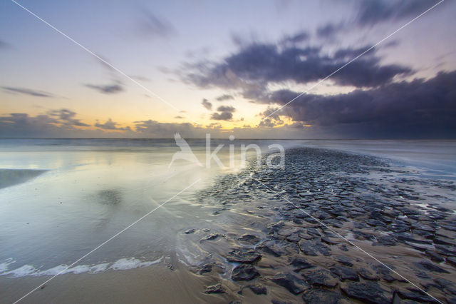 Northsea