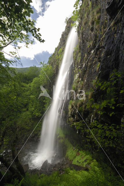 Parc naturel régional des Volcans d'Auvergne