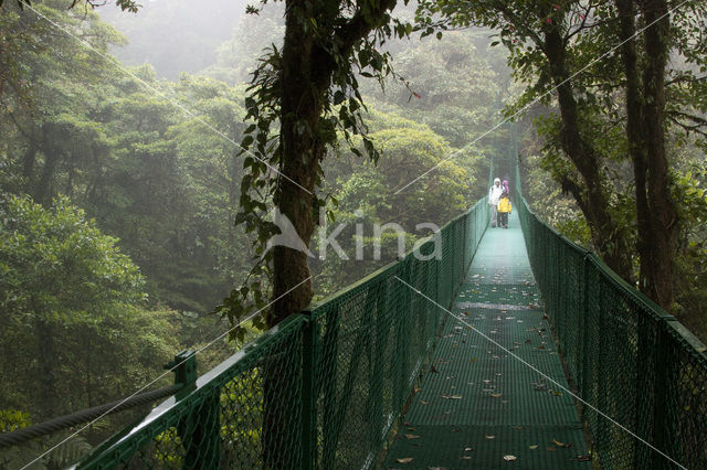 Parque Nacional Monteverde