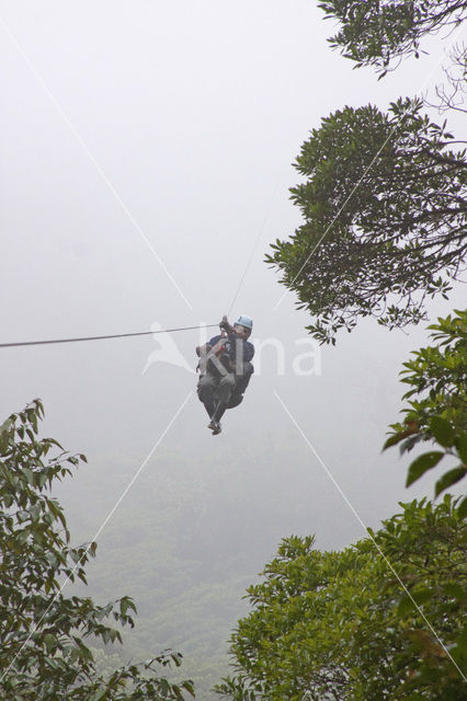 Parque Nacional Monteverde