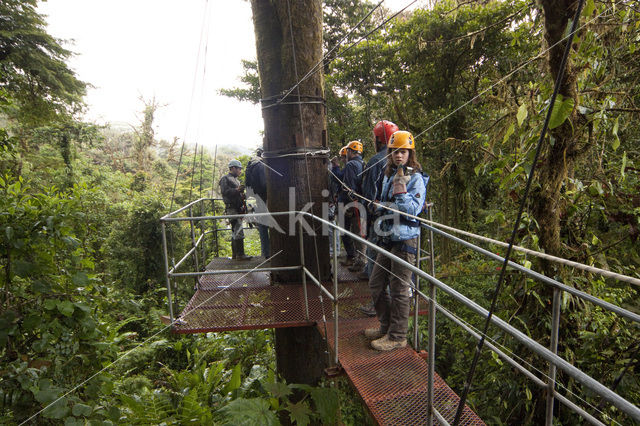 Parque Nacional Monteverde