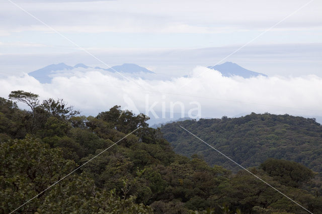 Parque Nacional Monteverde