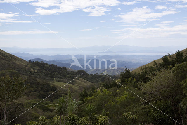 Parque Nacional Monteverde