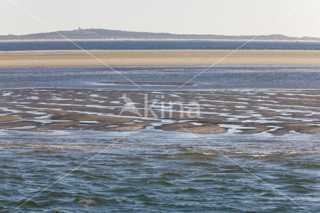 Waddensea