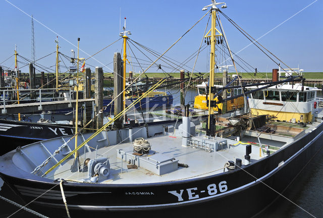 Yerseke fisheryharbour