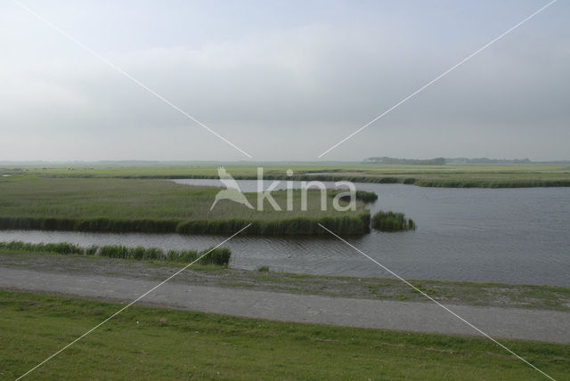 Ameland