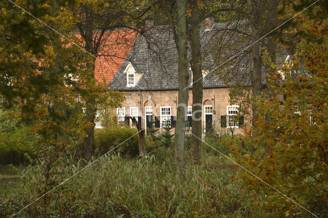 Bergherbos