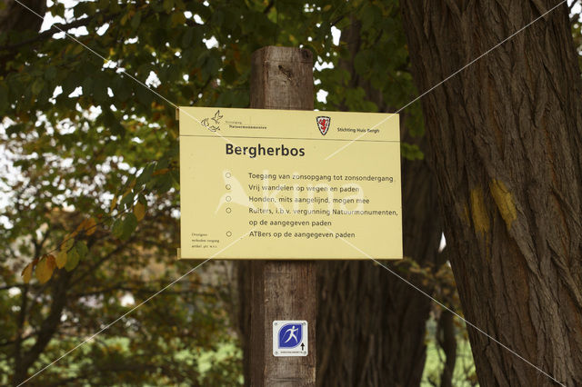 Bergherbos