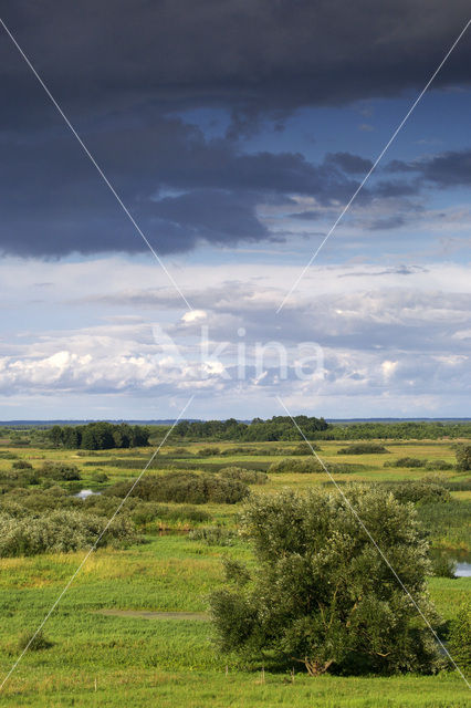 Biebrza National Park