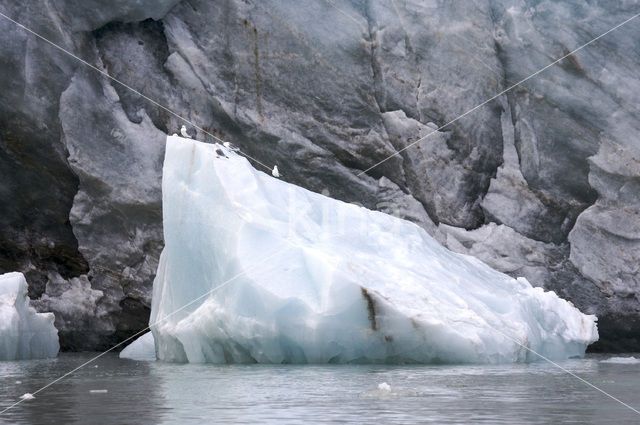Chauveaubreen glacier