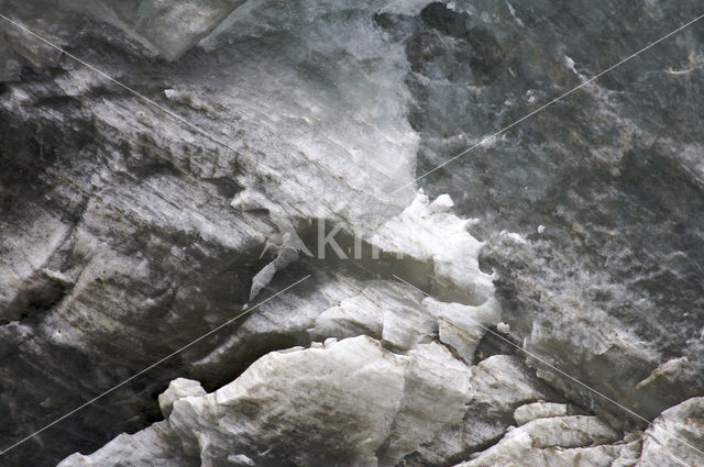 Chauveaubreen glacier