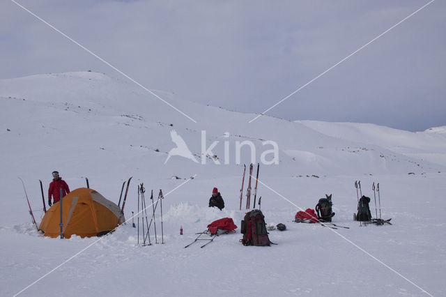 Hardangervidda National Park