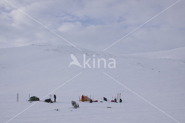 Hardangervidda National Park