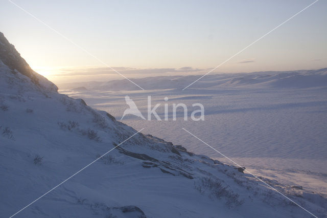 Hardangervidda National Park