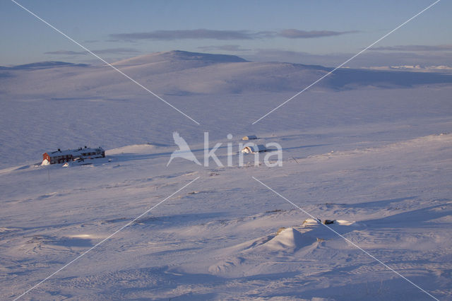 Hardangervidda National Park