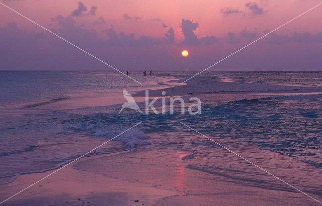 Kuredu Island Resort