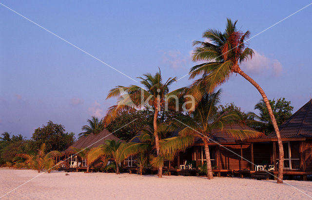 Kuredu Island Resort