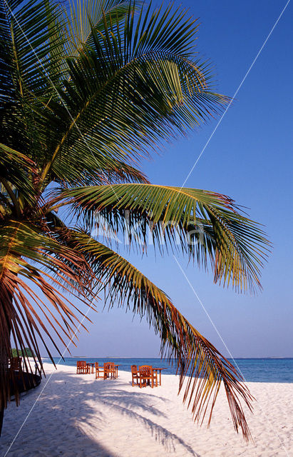 Kuredu Island Resort