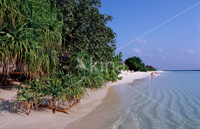 Kuredu Island Resort