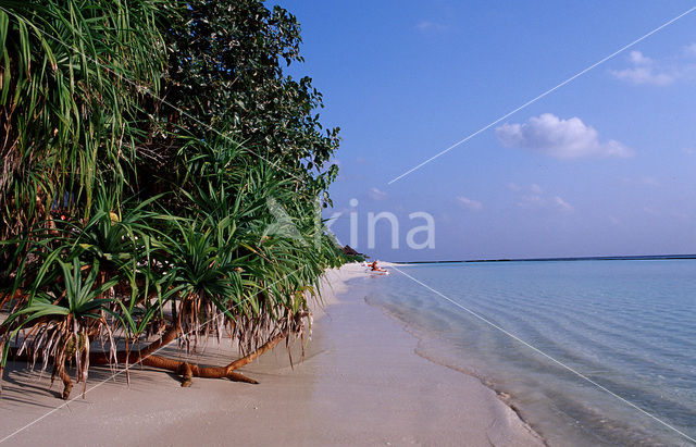 Kuredu Island Resort