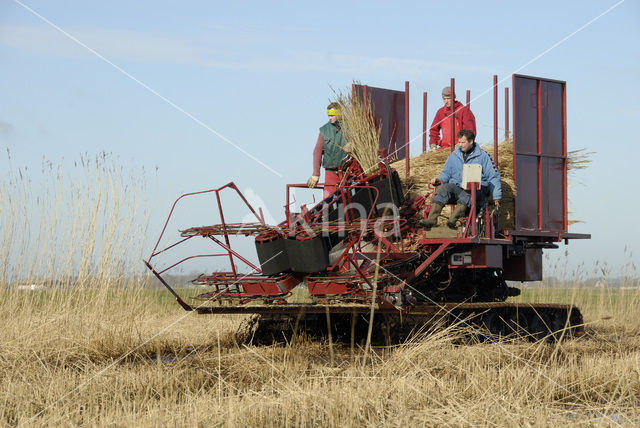 Lage land van Texel