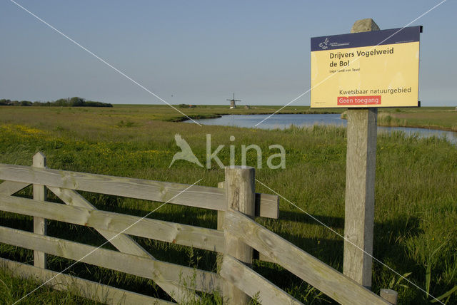 Lage land van Texel