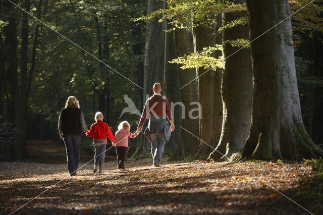 Landgoed de Slotplaats