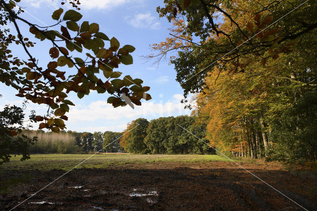 Landgoed het Everloo