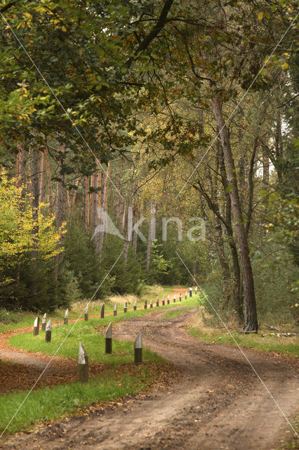 National Park Sallandse Heuvelrug