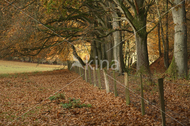 Nationaal Park Veluwezoom