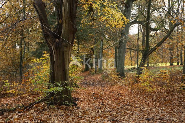 Nationaal Park Veluwezoom