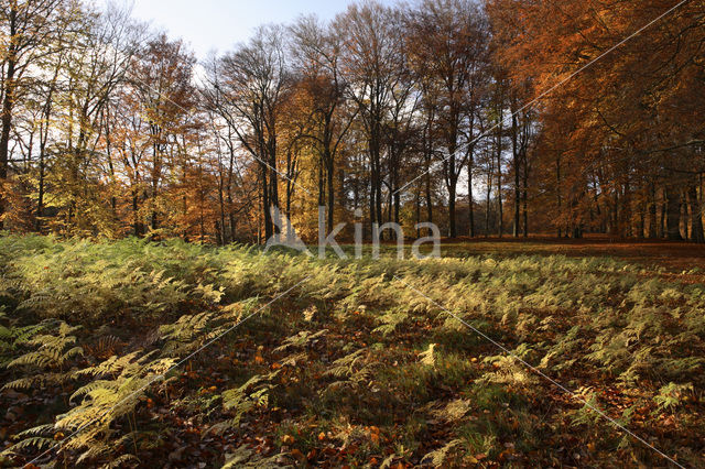 Nationaal Park Veluwezoom