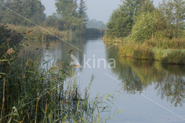National Park Weerribben-Wieden