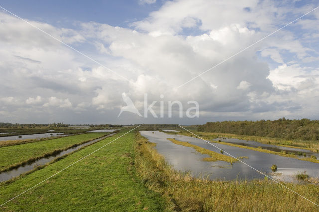 Nationaal Park Weerribben-Wieden